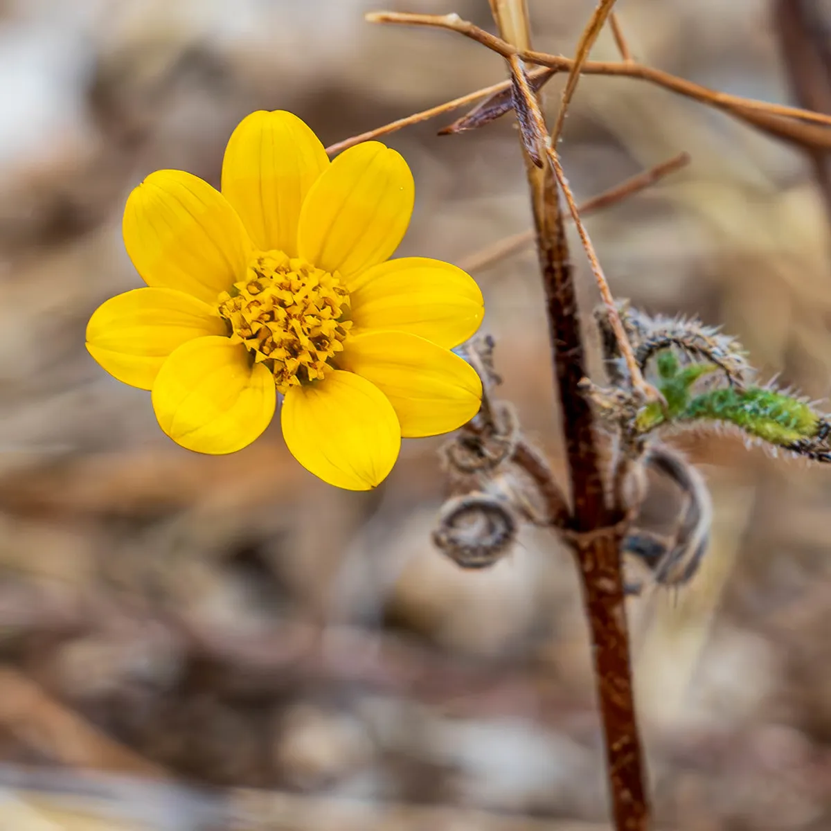 1-Day Self Guided Hue Citadel Walking Route