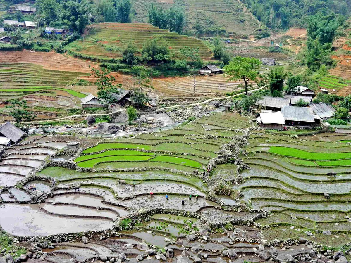 Sapa Free Tour Meeting Point Locations: Budget Guide 2026